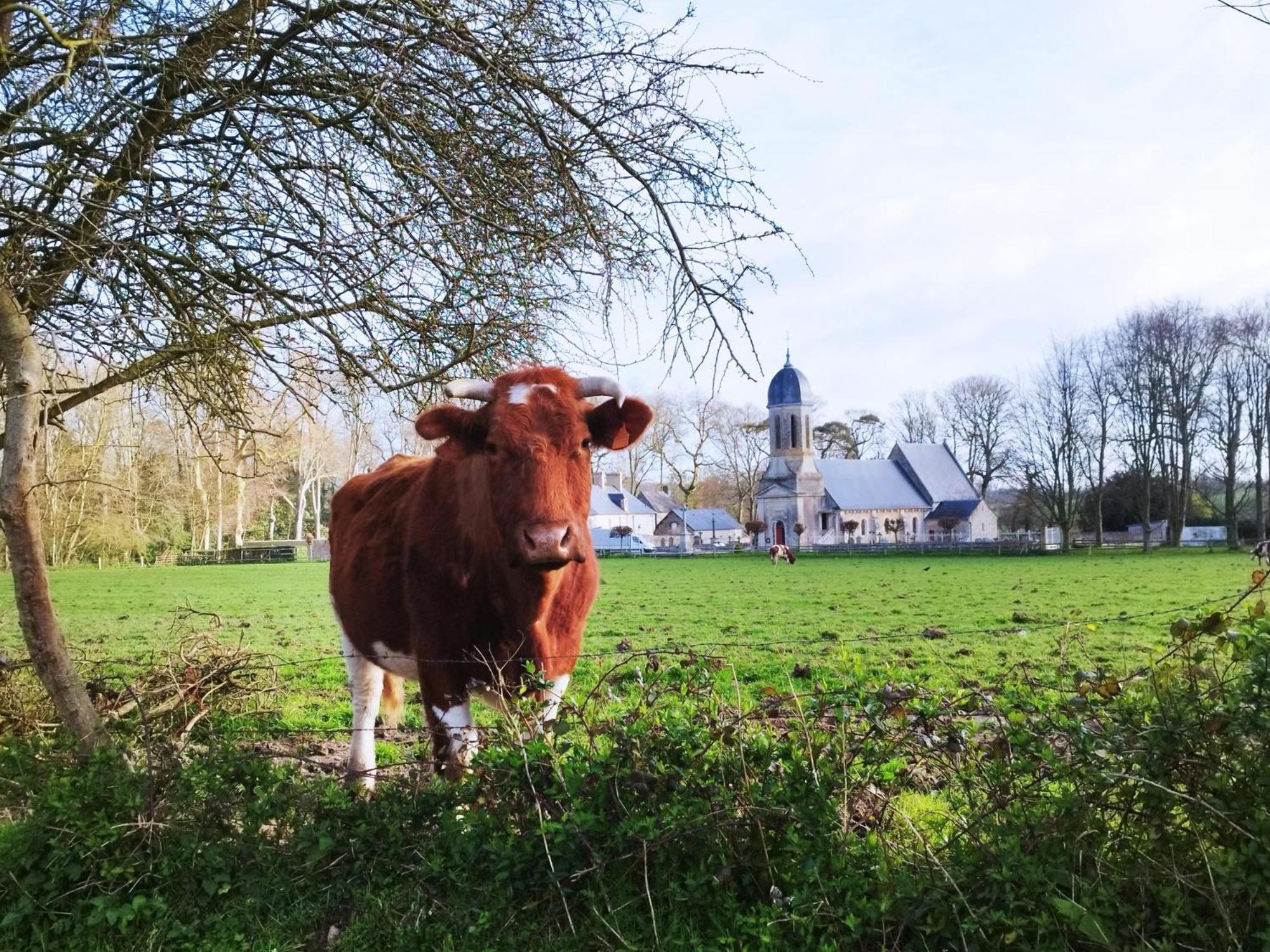 Comme A La "Maisons" Maisons  Buitenkant foto